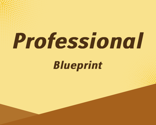 Professional Blueprint
